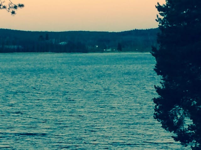 "Armosta olette saaneet, armosta antakaa."