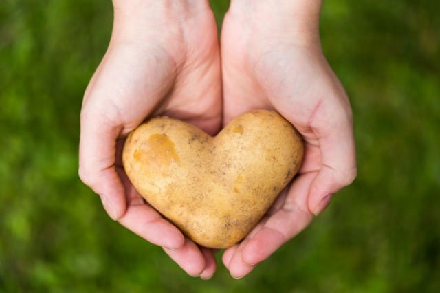 Kuva: Lenslife / Fotolia