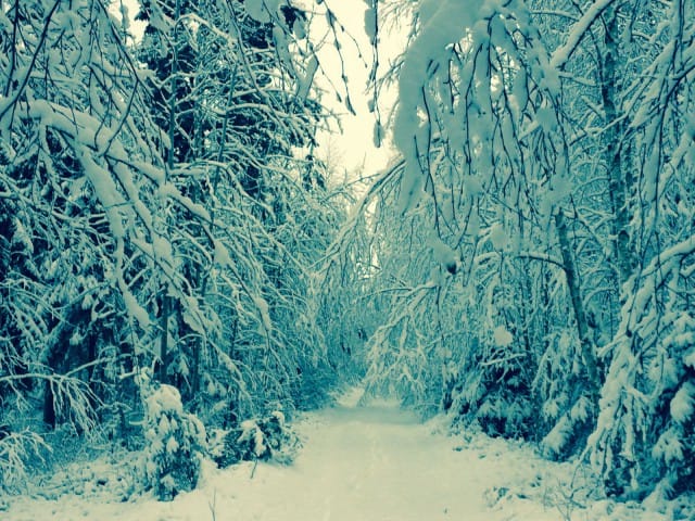 "Ei polku tää vie mihinkään.." - tai entäpä jos se viekin juuri sinne mihin sen pitääkin minut tänään kuljettaa.