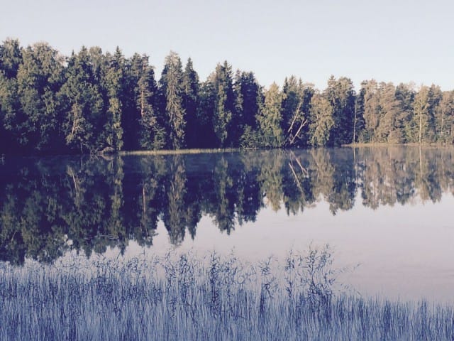 Elokuussa järvessä on elämää.