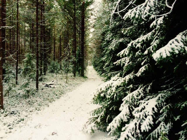 Kaiken tarkoitus usein verhoutuu kaiken tarkoituksettomuuteen.