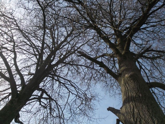 Puutkaan eivät mieti, mitä olisivat voineet tehdä toisin