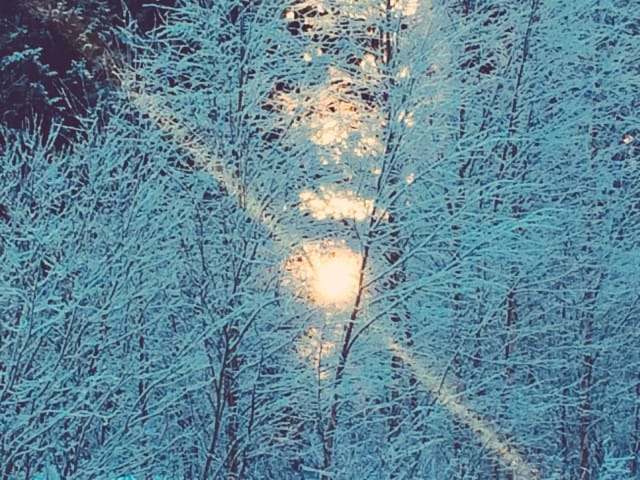 Tunnelin päässä näkyy valoa, sikäli kun vauhtisokeudeltamme sen suostuisimme näkemään.