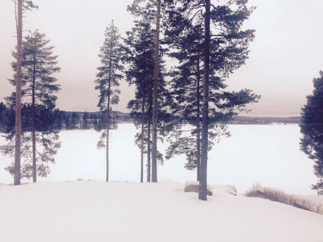 Pelkäänkö elämää vai pelkäänkö todellisuudessa vain itseäni?