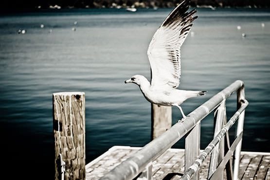 "Sitten keksin sen."