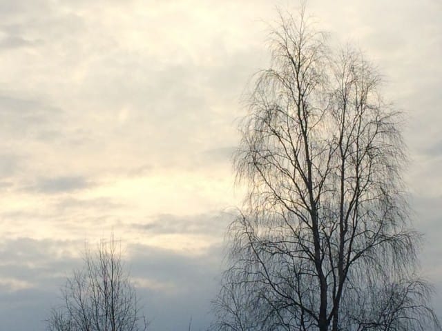 Mielenrauha. Kun kaikki asiat ovat omilla paikoillaan.