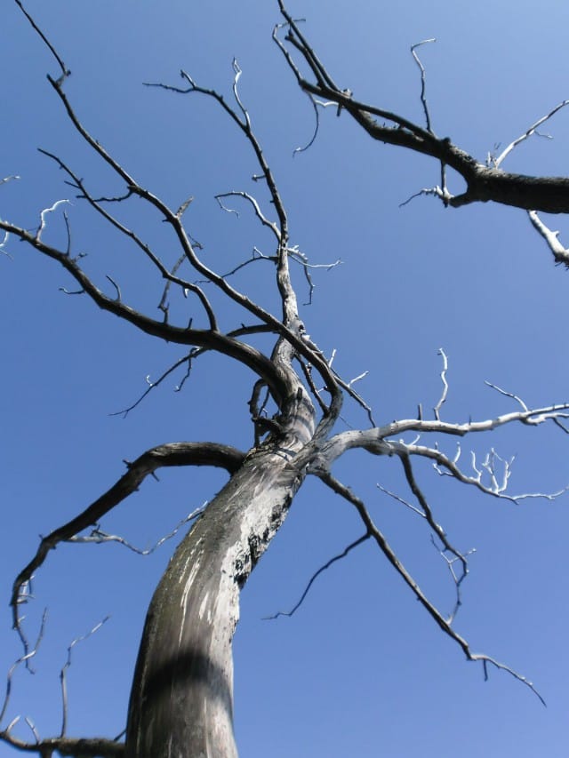 "Sinä et tiedä minua."