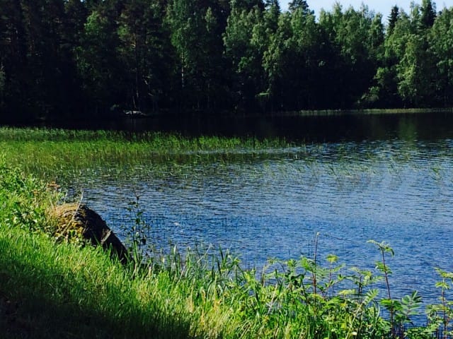 Kärsimättömyys muuttuu kärsivällisyydeksi vain odottamalla.