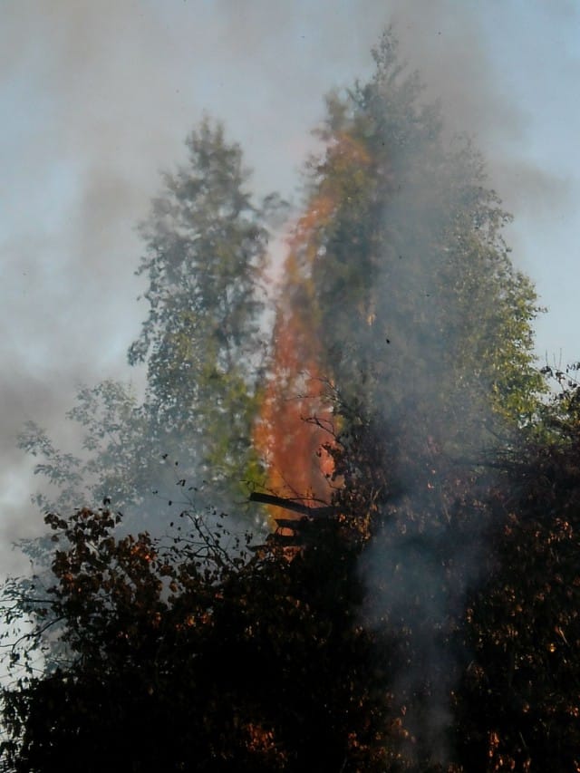 Ei savua ilman tulta (06/2015)