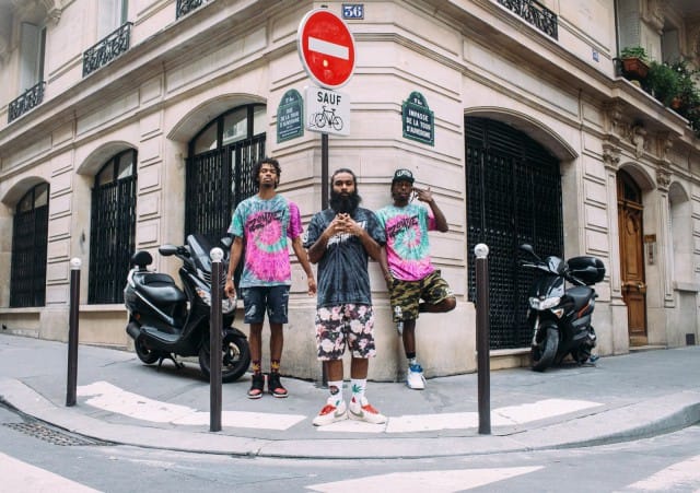 Flatbush Zombies