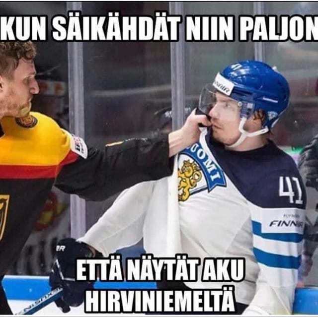 Vuoden 2016 paras meemi