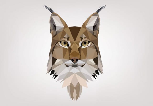 Kuva: haller / Fotolia