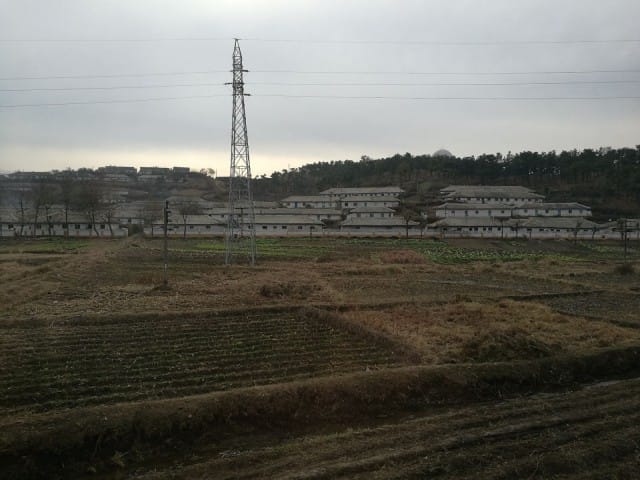 Pellot pidetään ojennuksessa käsi- ja eläinvoimin. Taustalla tyypillistä Pohjois-Korealaista arkkitehtuuria.