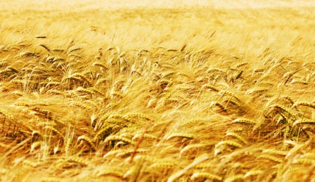 Kuva: by-studio / Fotolia