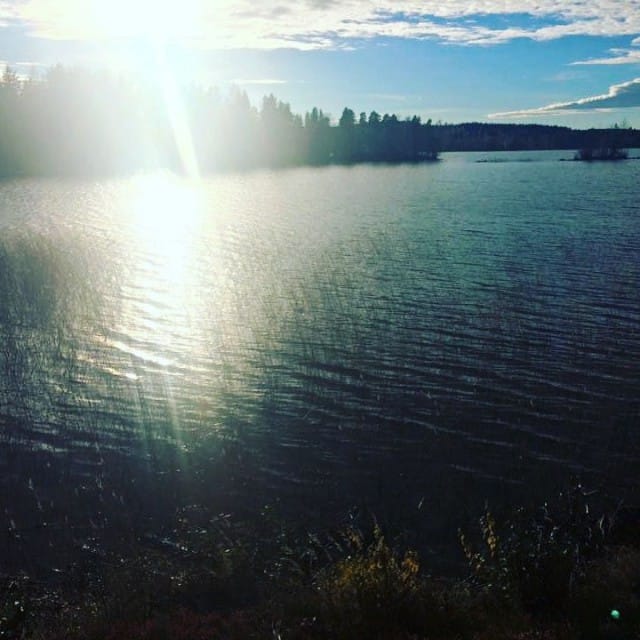 Aurinko paistaa tähänkin risukasaan, ennenmmin tahi myöhemmin. Näin uskon.