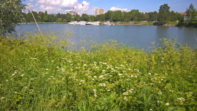 Ihannnekodista kuuluisi olla luontonäkymä