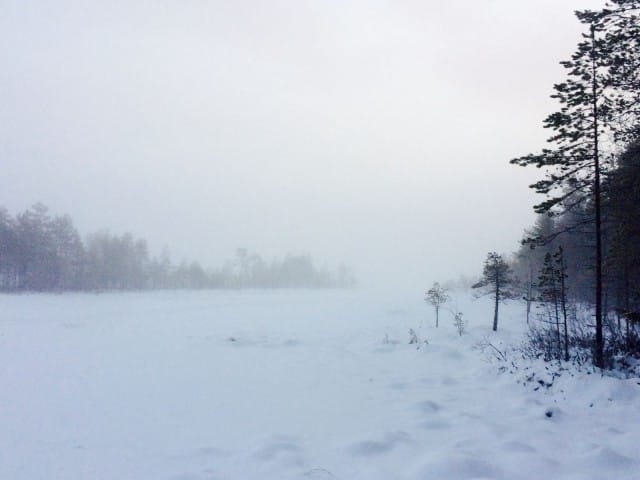 Täydellinen hiljaisuus on paikka, jossa todelliset tunteet saavat tilaa tulla esiin.