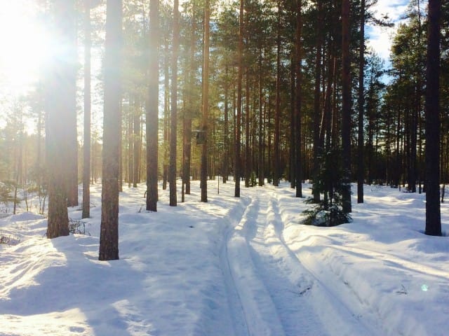 Luonto on minulle paikka jossa hiljennyn kuuntelemaan sisintäni.