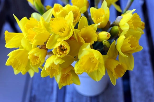 Kuva: mgillert / Fotolia