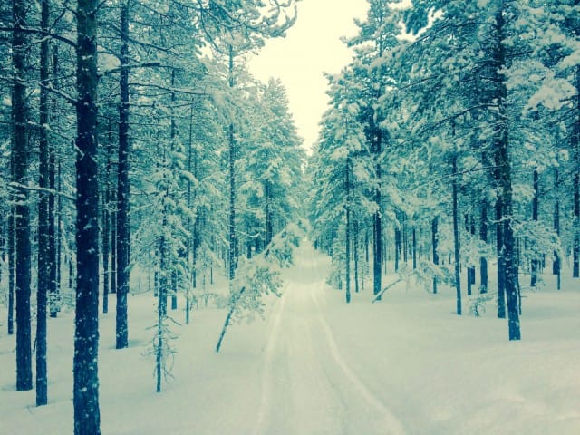 Mitä enemmän sanoitan sisimpääni, sitä selkeämmäksi käy se polku jolla minun on tänään määrä askeltaa.