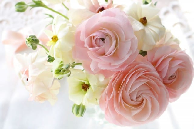 Kuva: nana77777/Fotolia