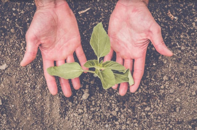 Kuva: iranzuarb / Fotolia