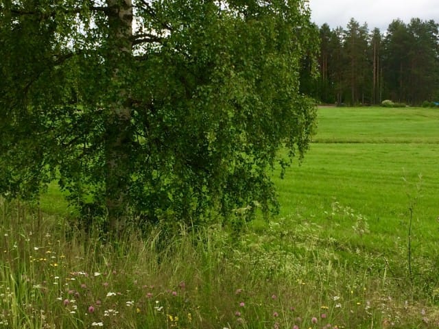 Kun kiinnipitäminen tekee kipeämpää, kuin irtipäästäminen, on aika irroittaa otteensa.