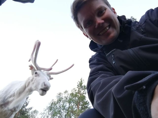 Poro on kesypeura. Peuran metsätys on vähentynyt ja poroja kasvatetaan pohjoisemmassa Suomessa.