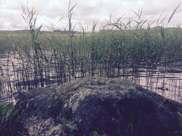 "Ahdistus ei ole tunne, vaan rypäs erilaisia negatiivisia tunteita."