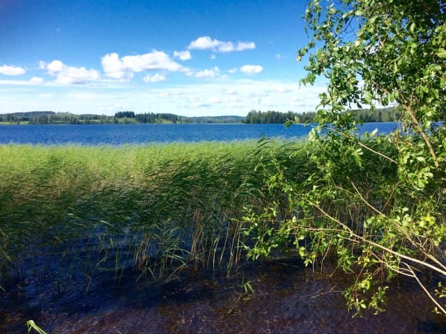 Kun ihmisen mieli voi hyvin, ihminen voi hyvin.