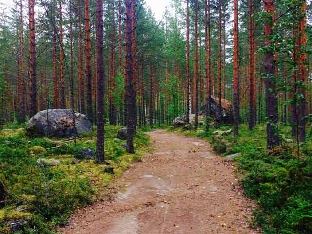 Kun hetkeksi maltan pysähtyä, huomaan ettei elämässäni ole asiaa mihin ei liittyisi tunteita.