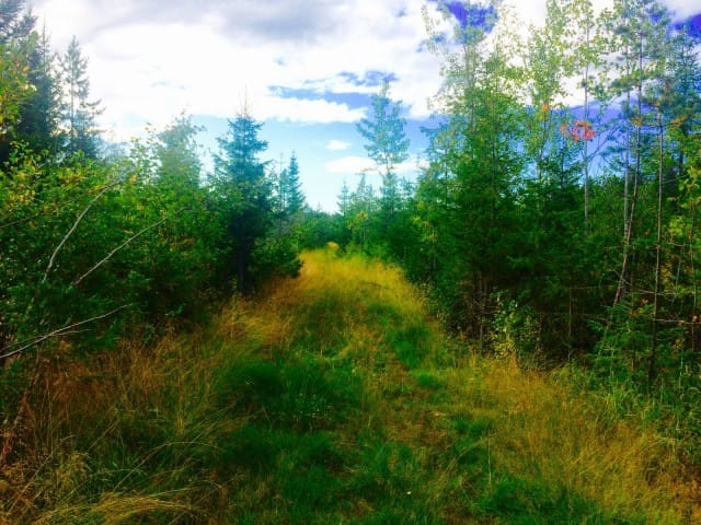 "Juokse villi lapsi, juokse kauemmaksi, jotta kasvat vahvemmaksi ja vapaammaksi. Juokse henkesi edestä.."