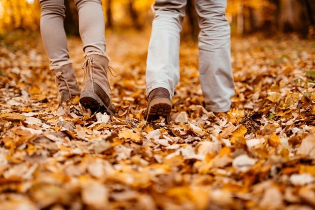 Kuva: milanmarkovic78/Fotolia