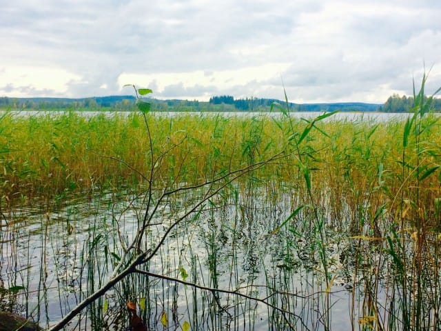 "Maailma on kaunis ja hyvä elää sille, jolla aikaa ja tilaa unelmille ja mielenvapaus ja mielenvapaus."