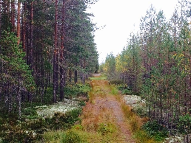 Jokaisella meistä on mahdollisuus valita.