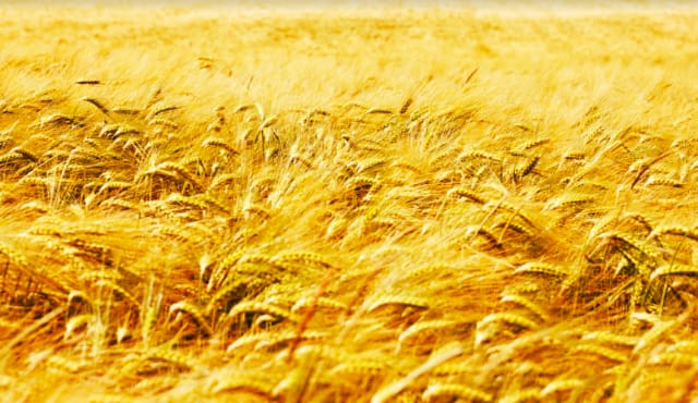 Kuva: by-studio/Fotolia