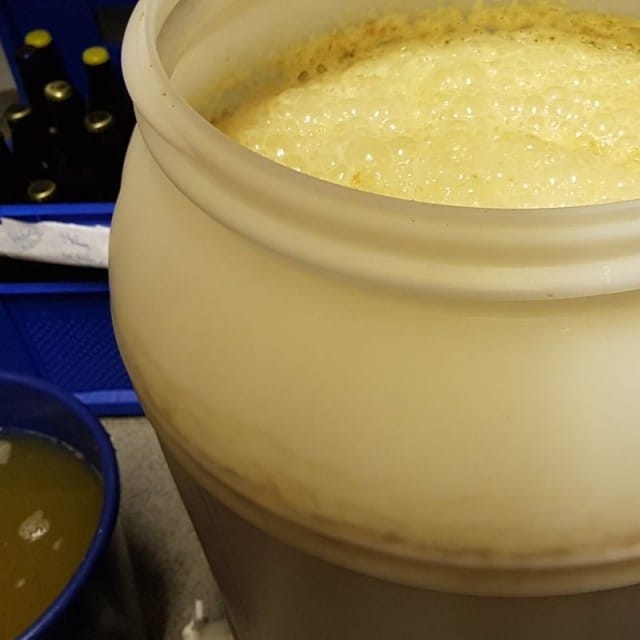 Käymisastiassa hyvä pöhinä! Vieressä hunajaa.