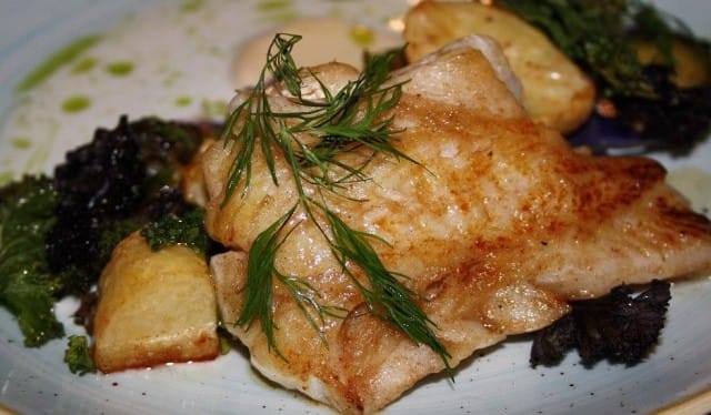 Turskaa ja piimä-piparjuurikastiketta