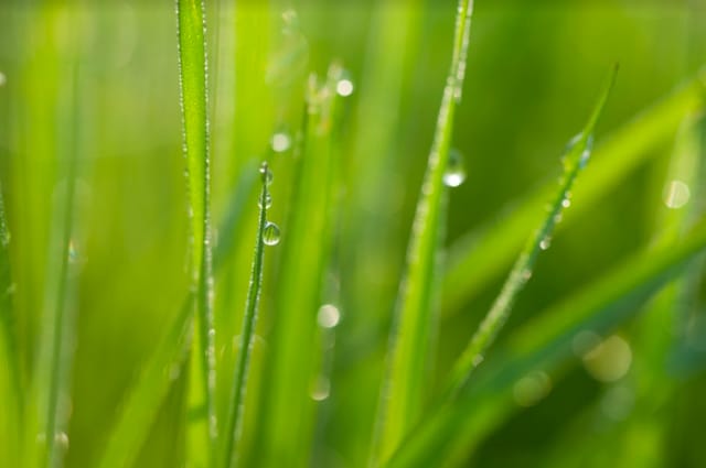 Kuva: podolinska/Fotolia