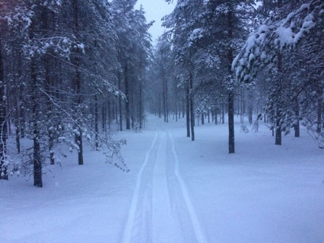 Hiljaisuus on tila, jossa sisimpäni saa tulla näkyväksi.