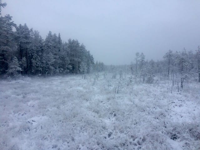 Elämän kauneus kulminoituu kiitollisuudessa.