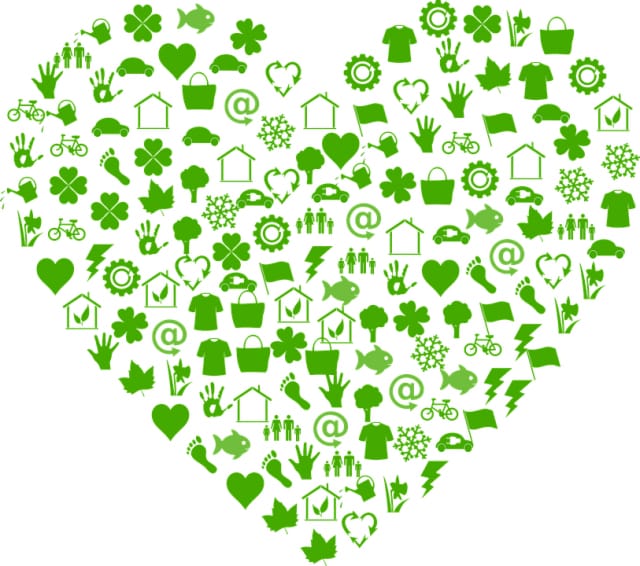 Ekologinen ajattelu johtaa ekologiseen elämiseen. Ensin on muutettava ajattelua. Sitten otettava ensimmäinen askel.