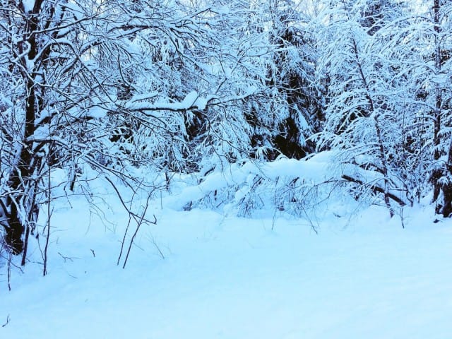Umpikuja, uhka vai mahdollisuus?