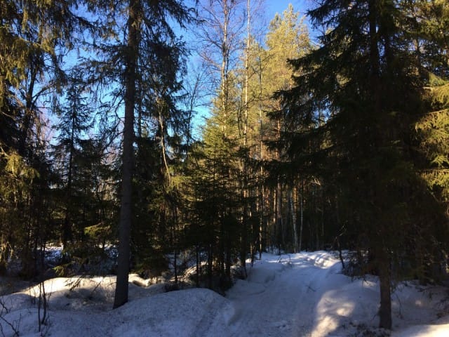 Luonto. Rauha. Rakkaus. Lepo.