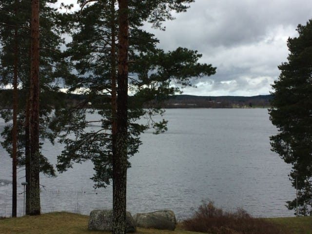 Oletko huomannut luonnon kiirehtivän nopeuttaa kevään tuloa?