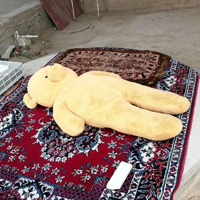 Turkmenistanilainen nalle päiväunilla.