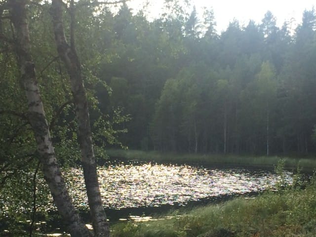 Hiljaisuus voi alkuun olla varsin meluisaa, mutta uskaltautumalla kuuntelemaan aidosti, se voi kertoa siitä mitä sisimmässäni kaipaan.
