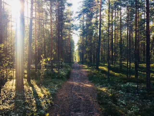Mikä sinulle luo sen turvan, jossa uskallat astella tämän päivän matkaa, piiloutumatta?