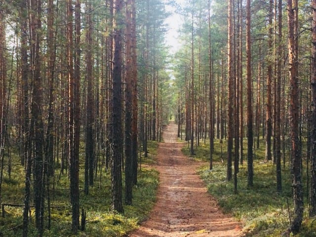 ..kaikki on lopulta niinkuin kuuluukin olla.
