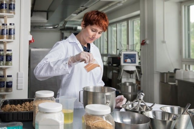 Nyhtökaura on herättänyt runsaasti kiinnostusta myös ulkomailla.